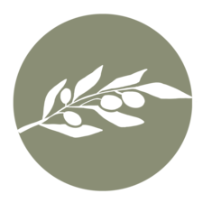 1769283546-6d6d0488a8f04f97