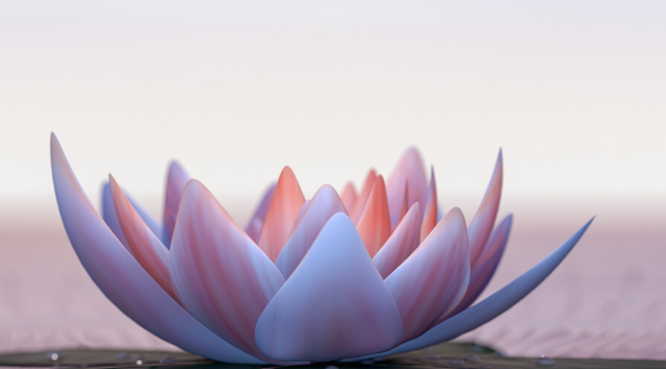 1732987347-31ce6c4e9304ea20