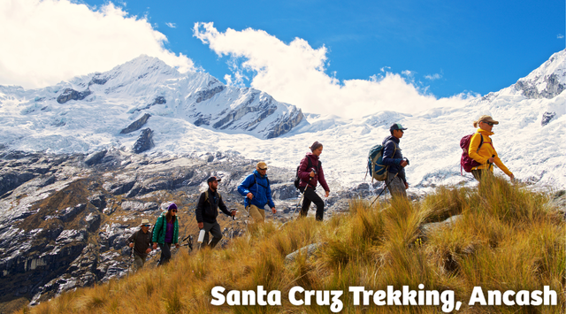 1761931056-53846309f0342621