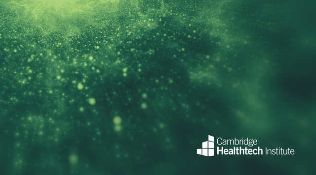 1762185113-2b95dbe53874f883