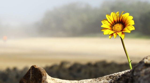 1762541363-0318ca9240554954