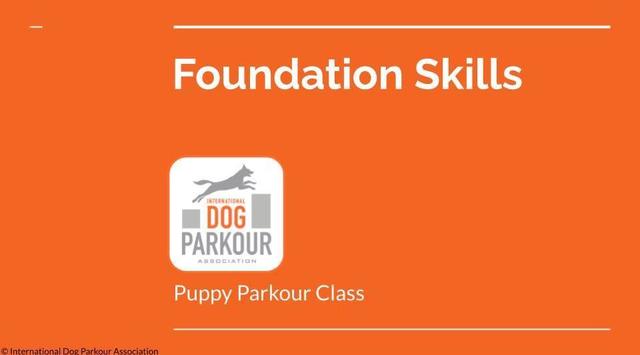 1737728647-941c4879a7259747