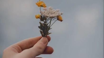 1709574618-fd12586bf8e1ab2c