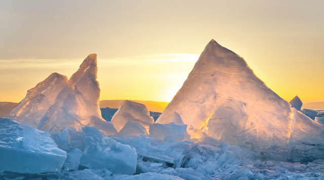 1769001737-ed0196716a3024c8