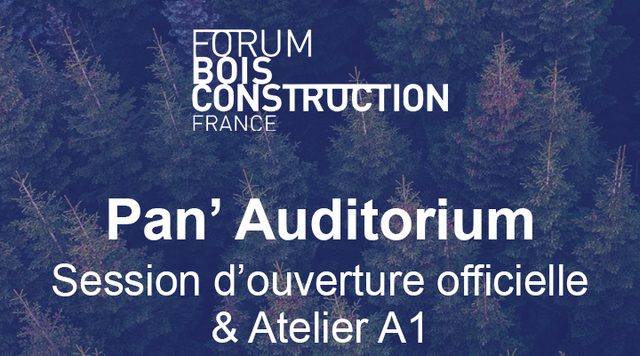 1771324436-71139498ab5de881