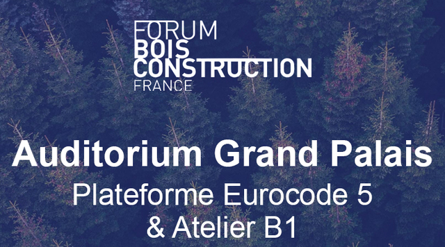 1771324404-216df4b75e4d4cd2