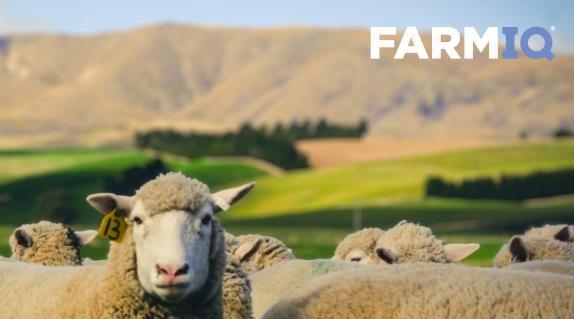 1762308162-db8903f94ce4c863