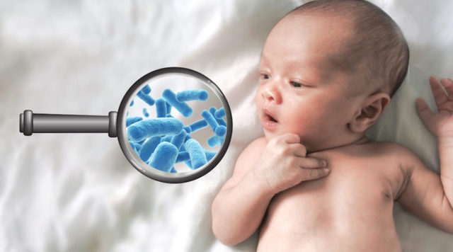 1775077328-c32b2c2f1c9fb2d3