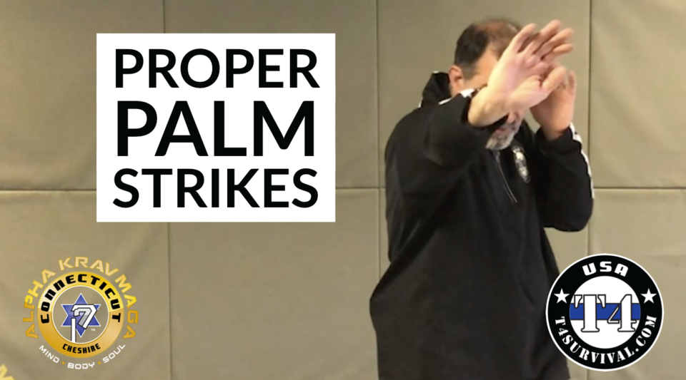inar Your first combative Palm Strikes by T4 Survival & Alpha Krav Maga