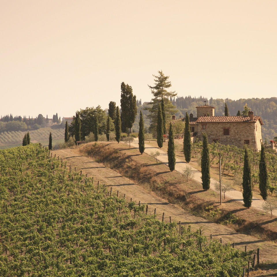 Ровиньяно италия