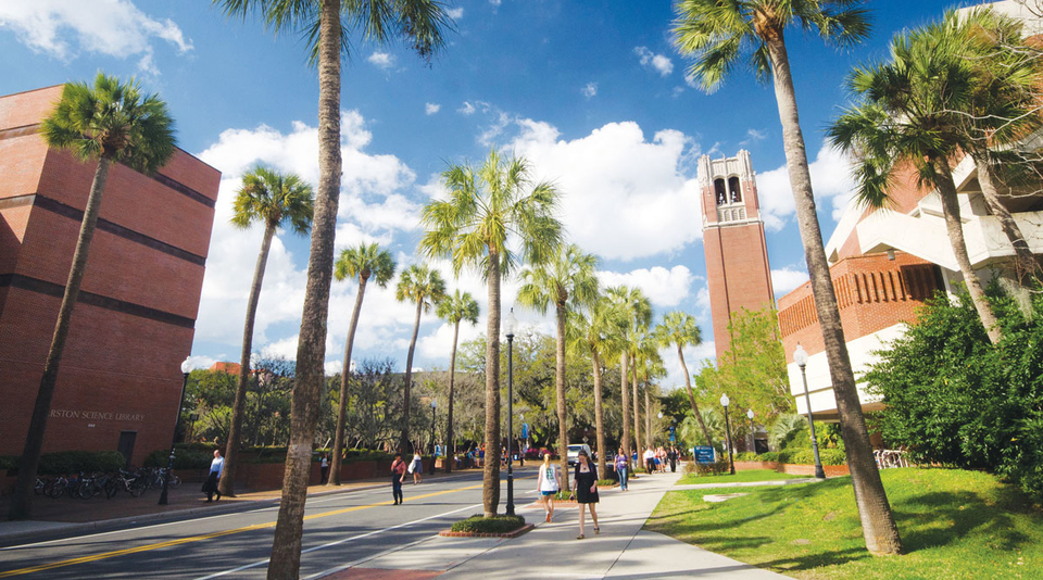 Webinar live q a with university of florida admissions officers by