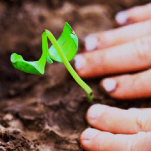 1606739981-511c00a514918c77