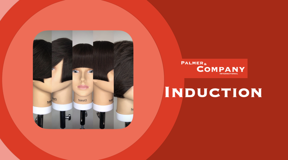 Webinar: Palmer&Company Induction by Palmer&Company International