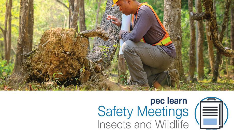 Webinar: May Safety Meeting: Insects and Wildlife by Veriforce