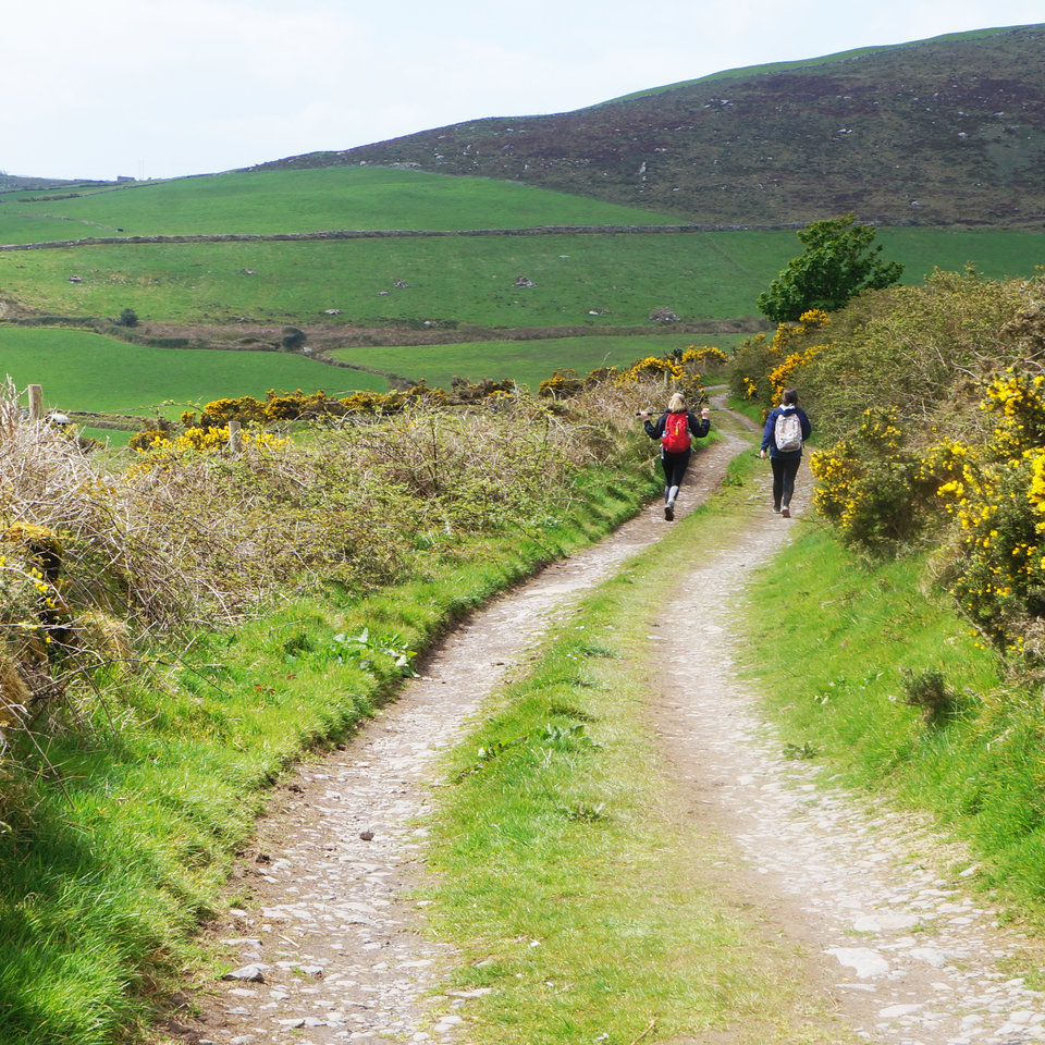 Best hiking trails in Ireland by Camino de Santiago