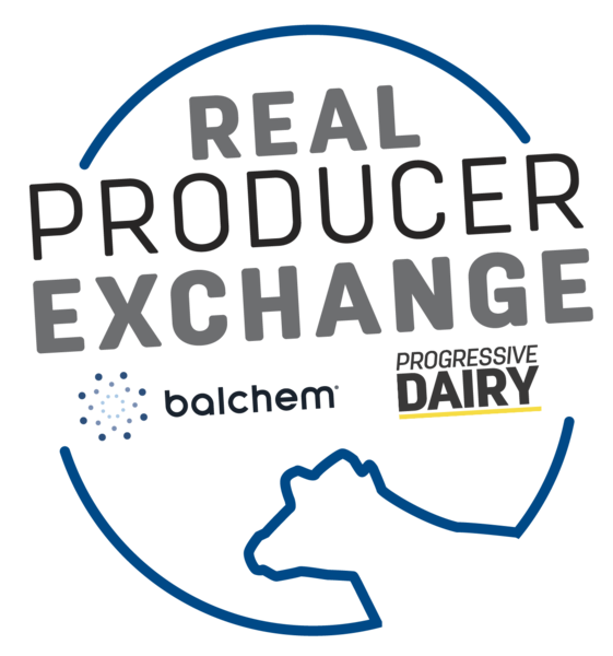 1753494794-38bfb40067a179bb