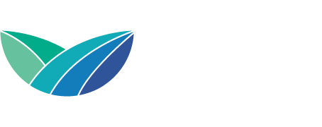 1595978913-b23e5826c92903a4