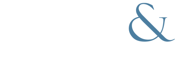 Fnplogowhiteandblue