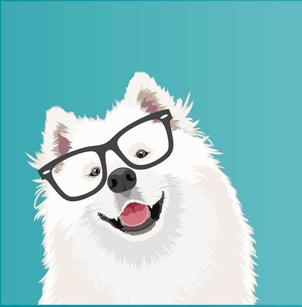 1605638400-4a5737a5f0ce04f6