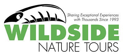 1606971187-a164838ab79d7c1c