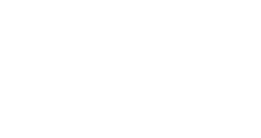 bottom logo