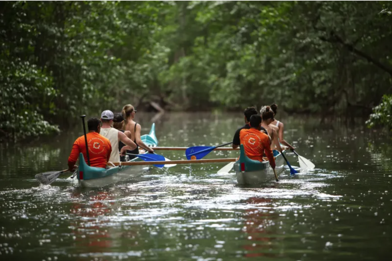 Magical Mangrove Canoe Adventure