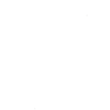 Webinar hosting presenter Shine Conference