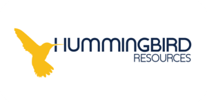 Webinar hosting presenter 