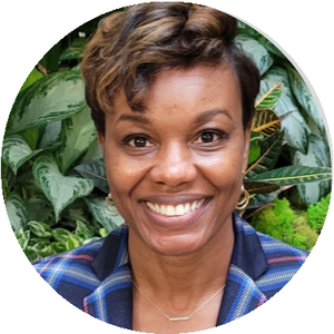 Webinar hosting presenter 