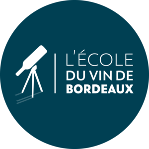 1658917229-6fd2a99d089ddd7e