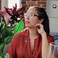 Webinar hosting presenter 