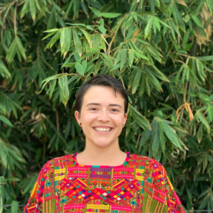 Webinar hosting presenter 