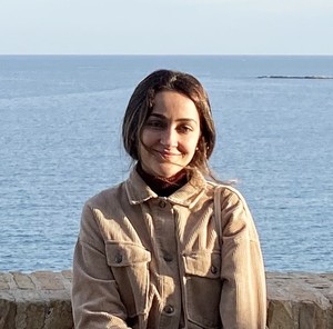 Webinar hosting presenter 