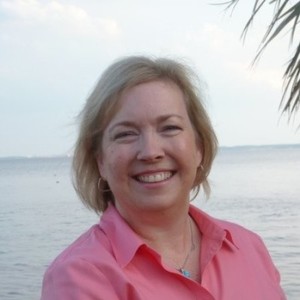 Webinar hosting presenter 