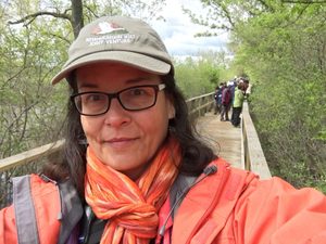 Webinar hosting presenter 