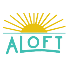 Webinar hosting presenter 