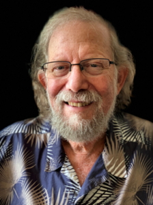 Webinar hosting presenter 