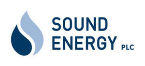 Webinar hosting presenter 