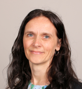 Webinar hosting presenter 