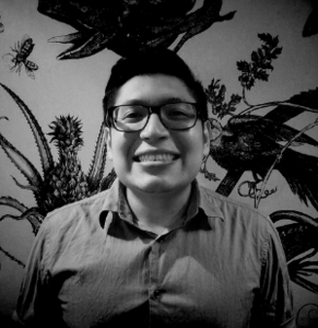 Webinar hosting presenter 
