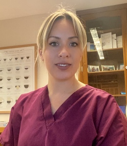 Webinar hosting presenter 