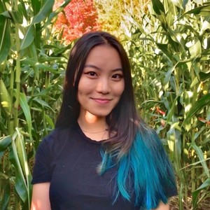 Webinar hosting presenter 