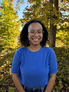 Webinar hosting presenter 