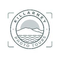 Webinar hosting presenter 