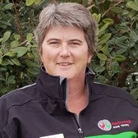 Webinar hosting presenter 