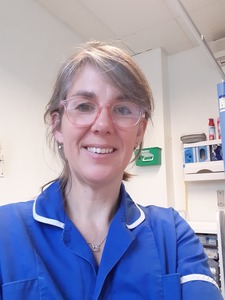 Webinar hosting presenter 