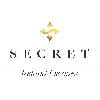 Webinar hosting presenter 