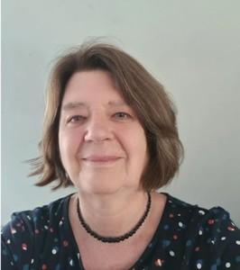 Webinar hosting presenter