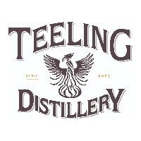 Webinar hosting presenter 