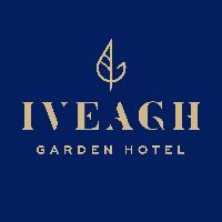 Webinar hosting presenter 